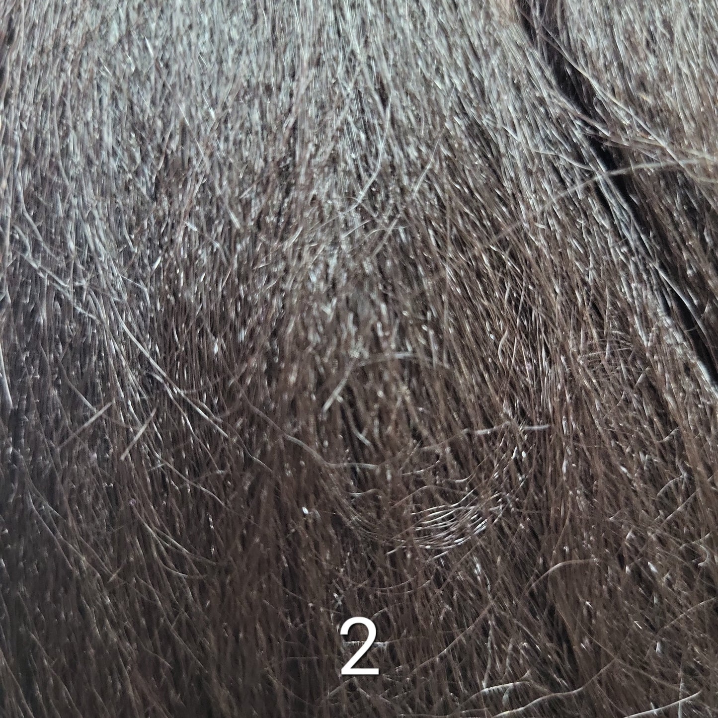 Sensationnel Instant Bun w/ bangs